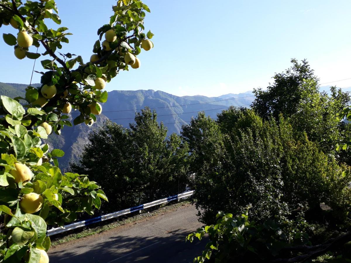 Igor Bed And Breakfast Halidzor Luaran gambar